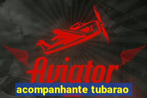 acompanhante tubarao